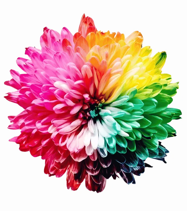 HelloChakra — nature, wellness, and positivity